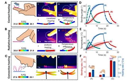 3CE3A4C2DE6F66D5DE5AB6B5C37_D7E87B01_B29C